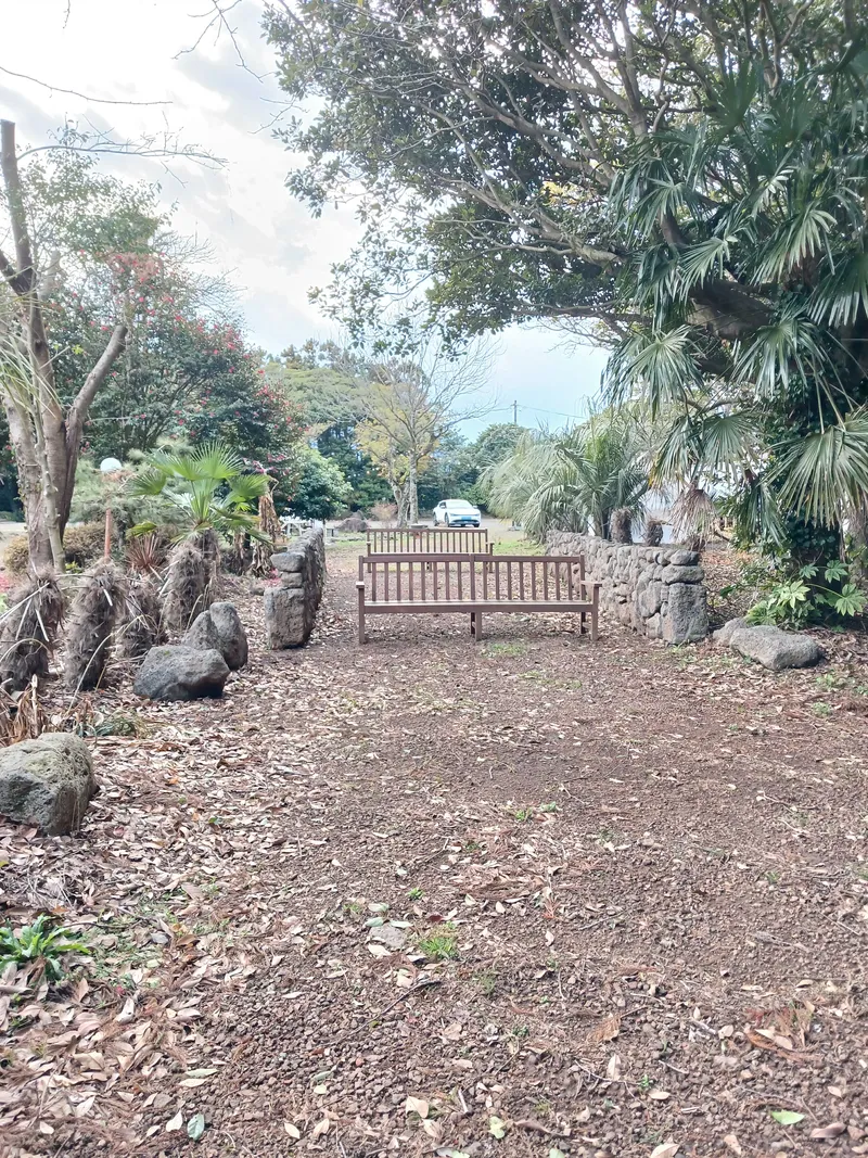 [Pyoseon, Seogwipo] Forest Garden View One-Room #203 21