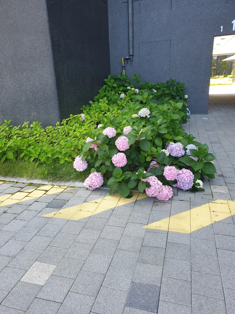 [경남 거제] 반려동물가능한오션뷰아파트 21