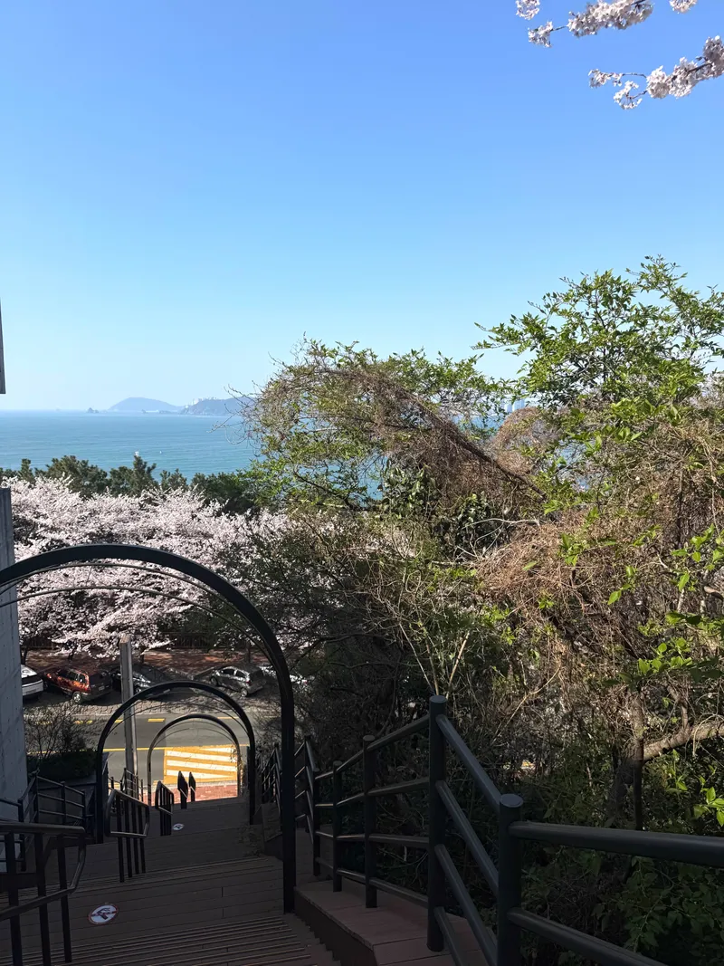 [부산 해운대] 달맞이길 오션뷰가 보이는 대형 평수 41