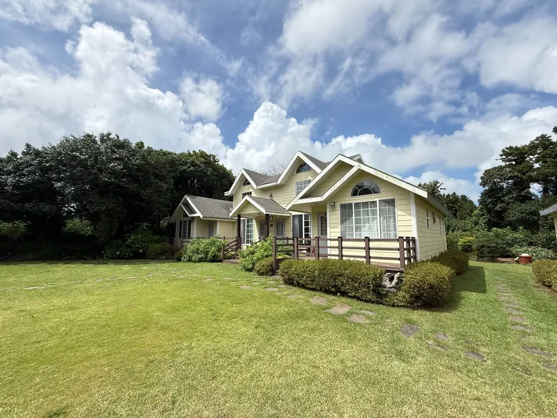 [서귀포 남원] #드넓은 잔디밭 #힐링 비둘기 27