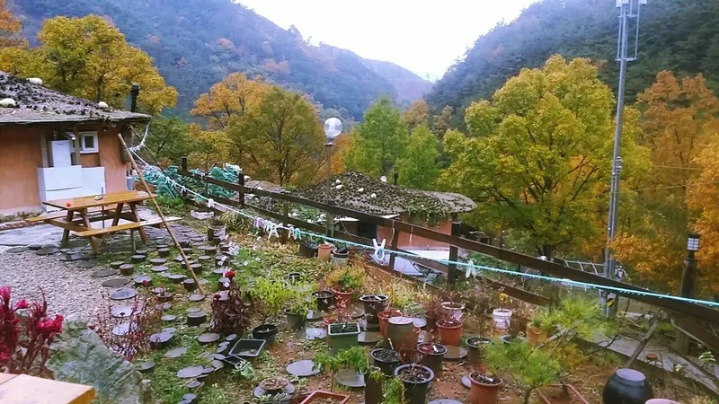 [전남 구례] 섬진강변 청정산골 황토 구들방 반려동물가능 19