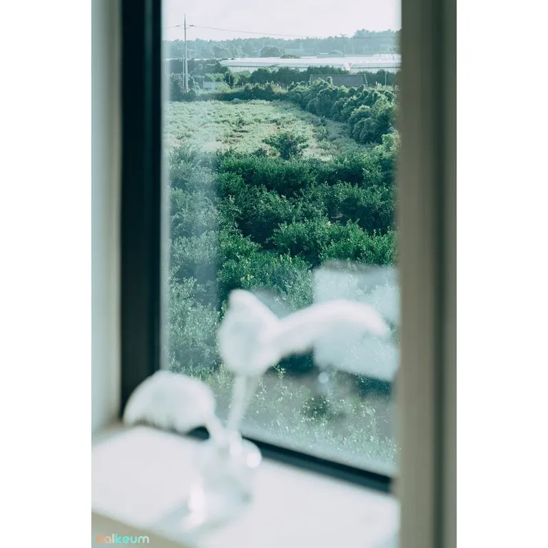 [제주 조천] 13평 복층원룸 스테이 #감귤밭뷰 #화이트룸 (공과금포함) 4