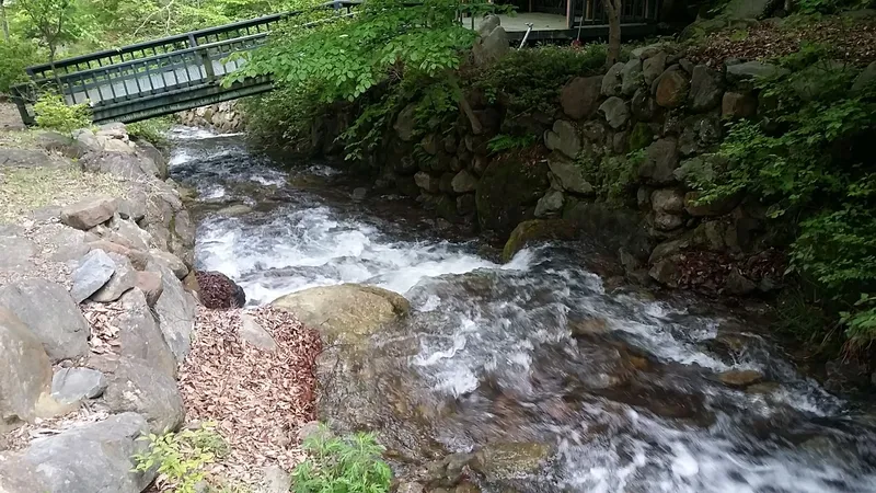 [Sancheong] Jirisan Hanok-style Minbak Pension 12