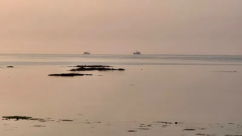 [Gujwa, Jeju] Hadori Byeolbangjin Gamseongsukso 29