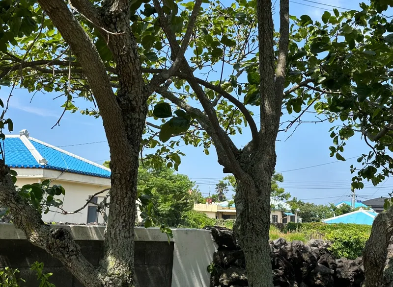 [Aewol, Jeju] Private house stay with a yard_A house where the charm of Jeju and the comfort of home coexist 48