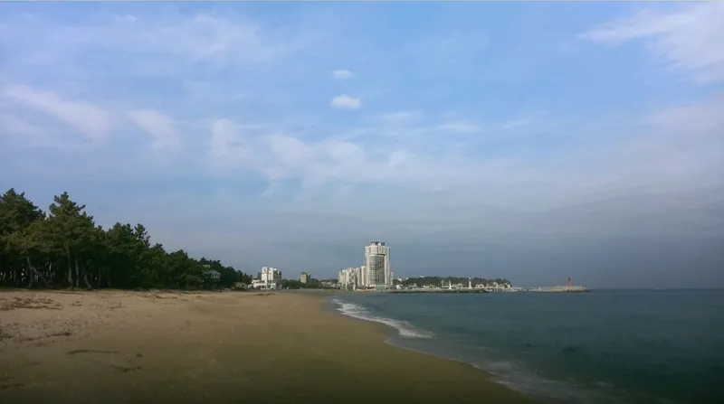 [Gangneung] New Ocean View Apartment, 34 Pyeong, Fully Furnished Three-Room, 8th Floor / 5-Minute Walk to the Sea 25