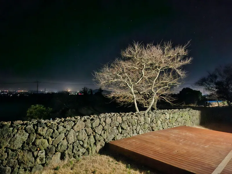 [Hallim, Jeju] Haha House #Single-family home #2nd floor #Comfortable #Sunset restaurant #Infant and toddler #Stone wall #Yard 36