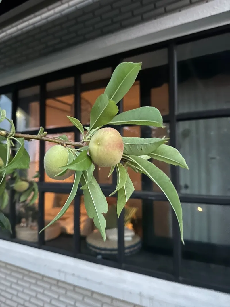 [Aewol, Jeju] Private house stay with a yard_A house where the charm of Jeju and the comfort of home coexist 46