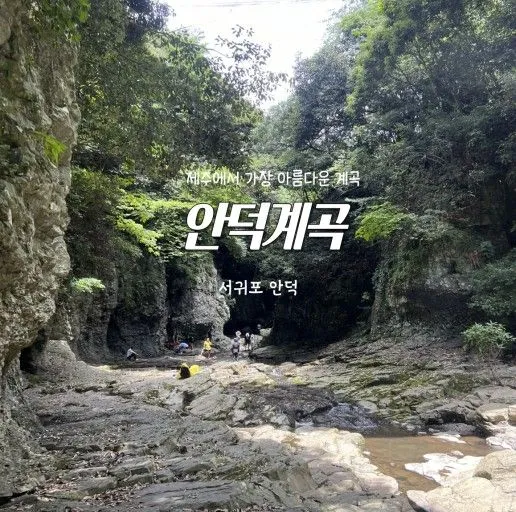 [서귀포 중문동] 15평 방2개,한라산뷰,오션뷰,불멍,바베큐 바다오름202 48