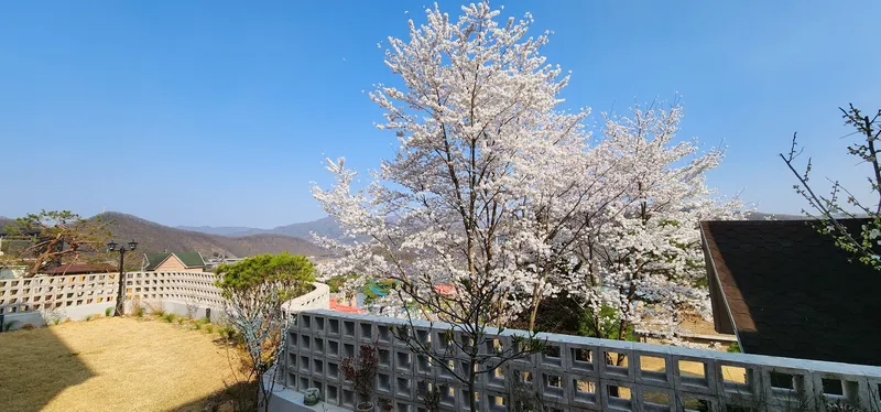 [Gwangju] House with a great view #25 minutes from Seoul #Pretty garden 14