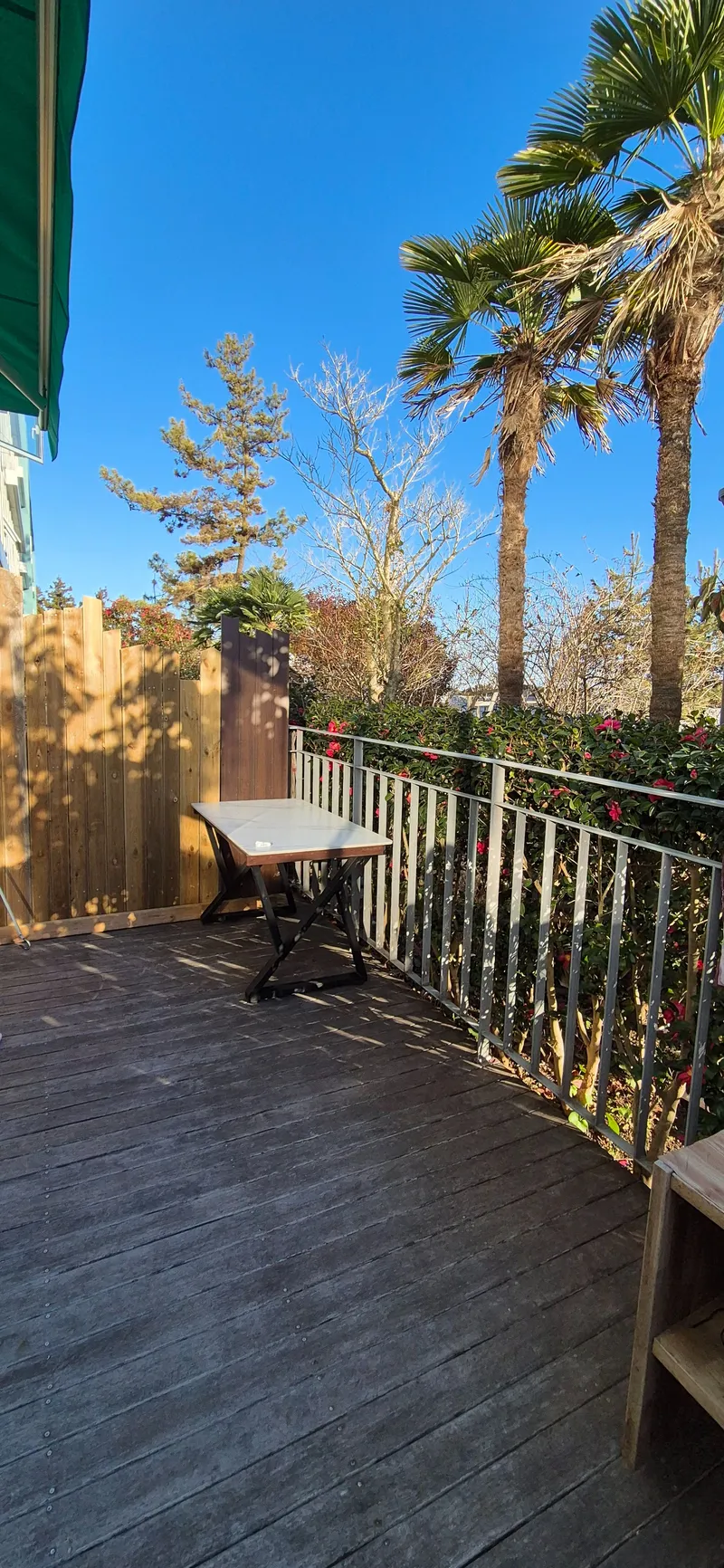 [Topyeong-dong, Seogwipo] (7 days or more) STAY Little Forest #Terrace #CookingStay [Seogwipo] 48