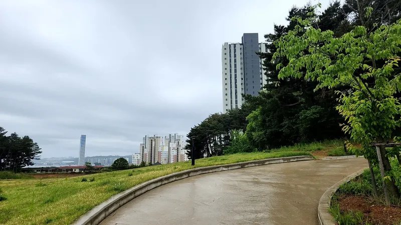 [강원 동해] 호텔보다 쾌적한# 초고층 신축# 도서관 옆 조용한 힐링숙소 8