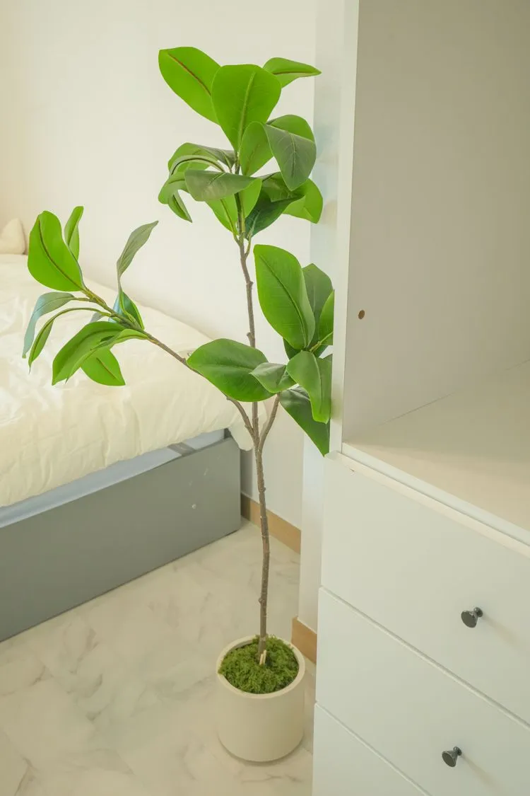 [Yuseong, Daejeon] A cozy, sunny shelter with a 3-room kids' zone. 39