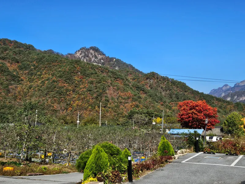 [충북 충주] 포레스트월악 205호 14