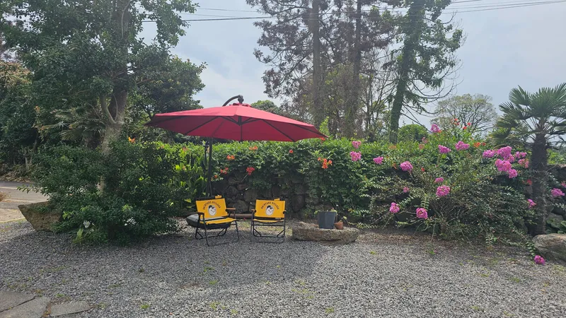 [Seongsan, Seogwipo] Two-room detached house with a large yard full of palm trees #BBQ 3