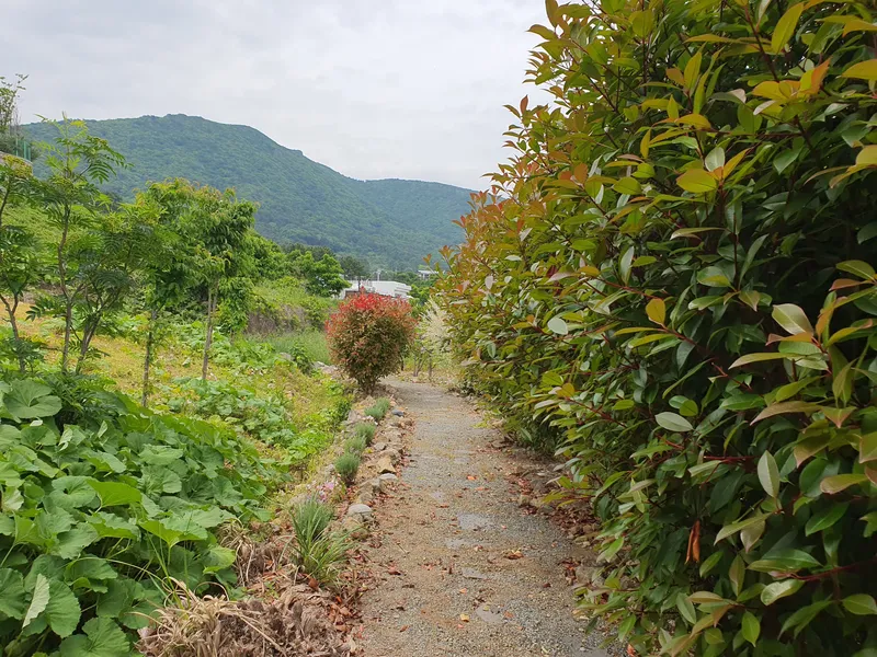 [Geoje] Duplex Pension #204 near Mangchi Beach 27
