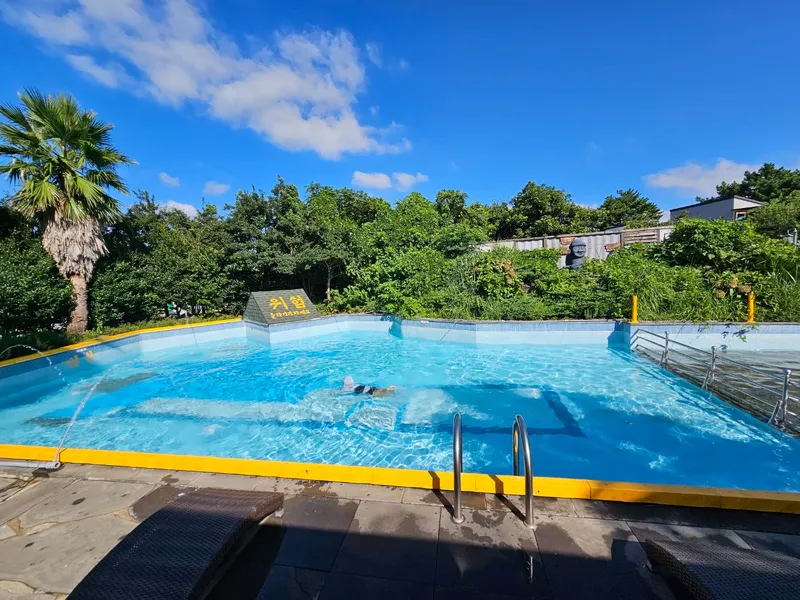 [Gujwa, Jeju] Bijarim duplex with an impressive view of the green grass yard and palm trees 24