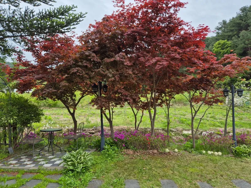 [경기 양평] 두물머리IC 10분 숲이 보이는 쓰리룸 독채 60