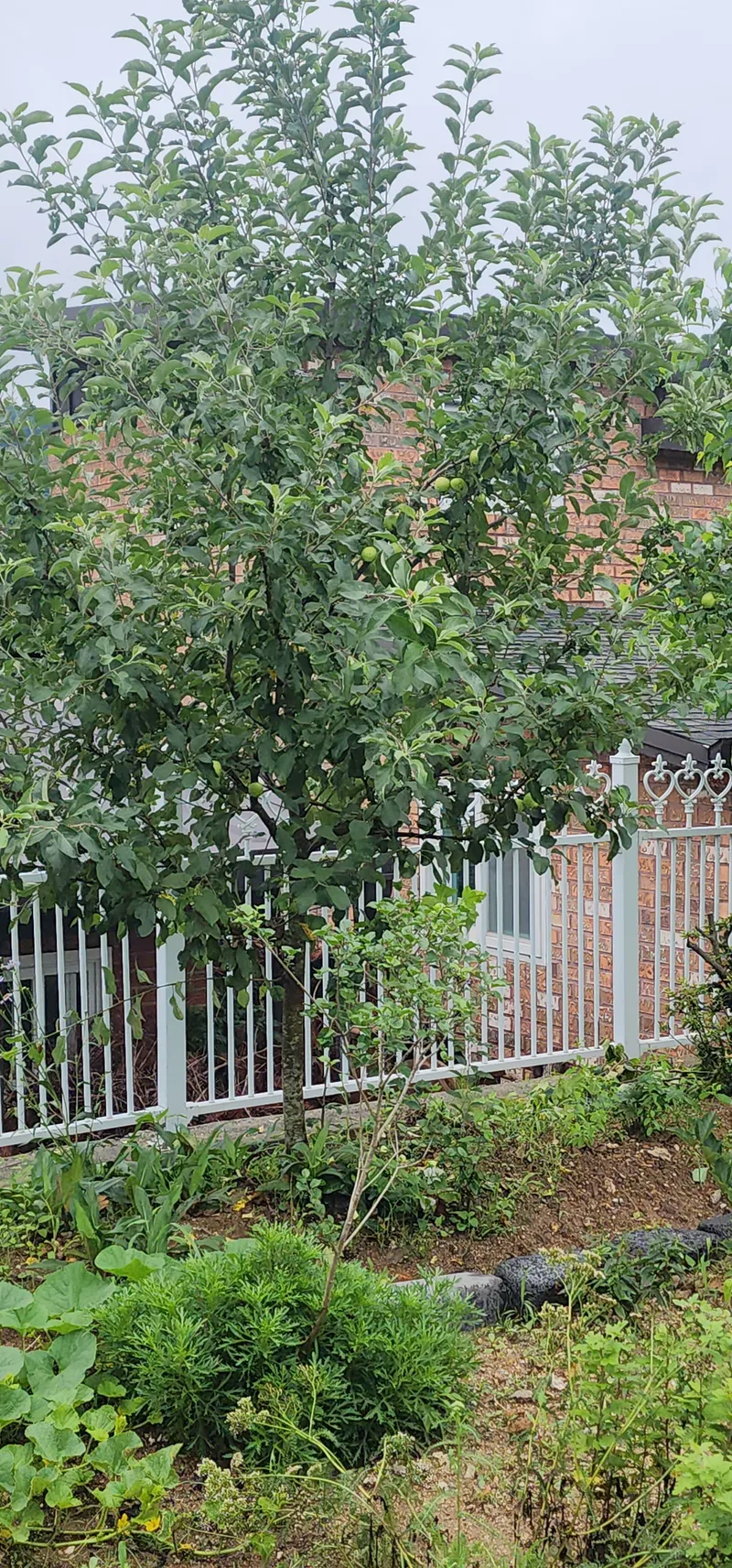 [Gapyeong] Three-room detached house with a Seorak yard 24