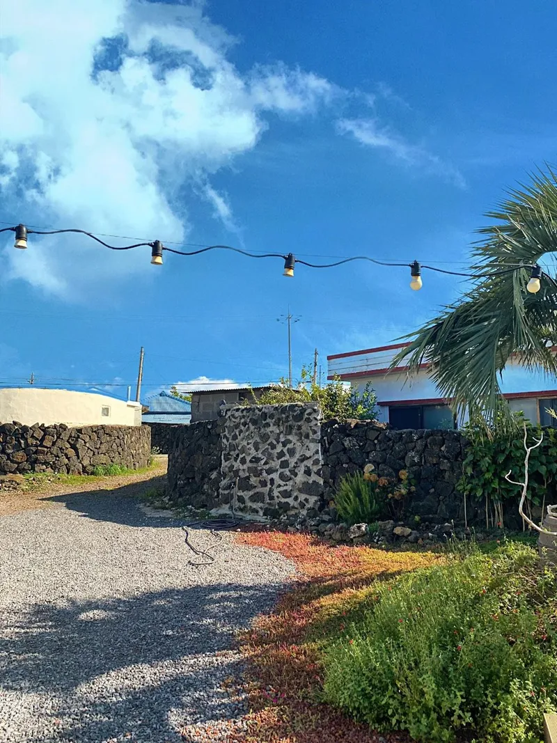 [Hallim, Jeju][Jeju Hyeopjae] Jeju Countryside Stone Wall House Hyeopjae Private Stay with Large Pool 9