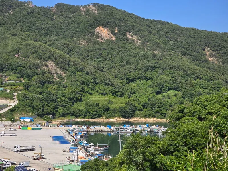 [Geoje] Healing stay in a private space with sky view, mountain view, and sea view [Pet-friendly] 20