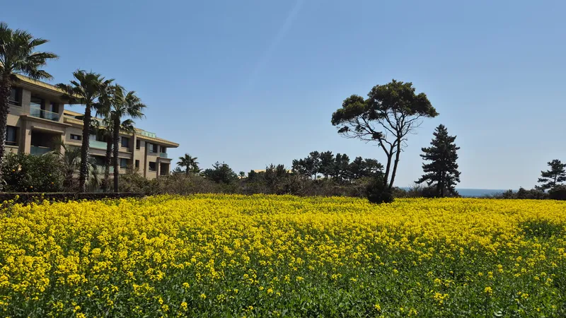 [Seongsan, Seogwipo] Ocean Gallery Premier House ☆ Panoramic ocean view in 1 second when you open your eyes ☆ 50 pyeong. 3 rooms 52