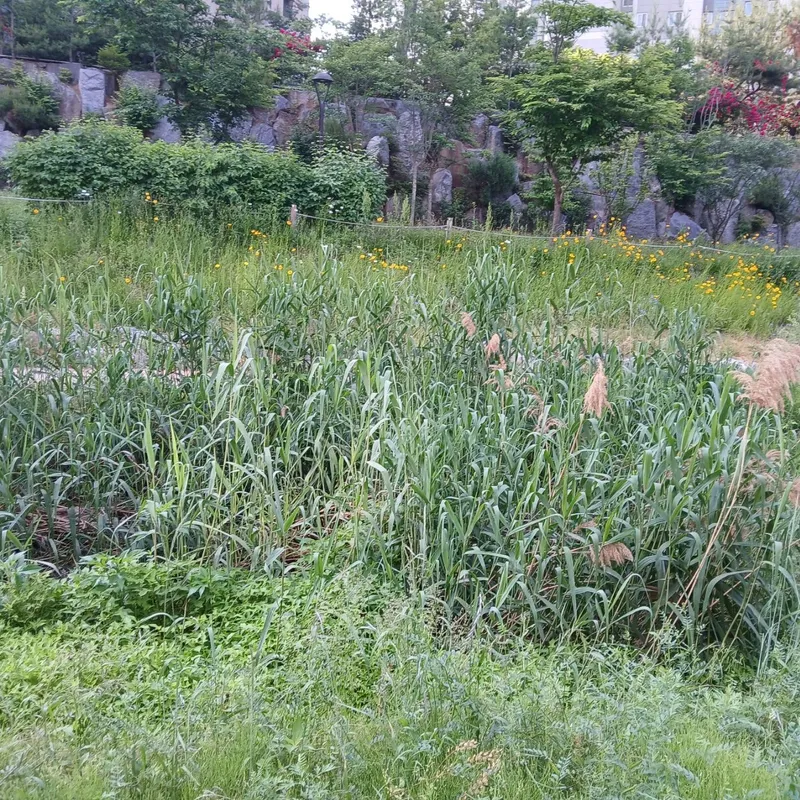[Goyang] 3-room full option near Hyangdong DMC (Q3+SS2/maximum 8 people) 65