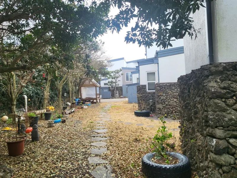[제주 한경] 판포포구 도보 10분 오선뷰 숙소 50