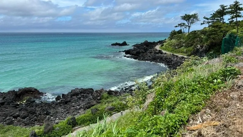 [Aewol, Jeju] Dog-friendly, Lawn yard, 15 pyeong usable area, Clean and pleasant, BBQ 39