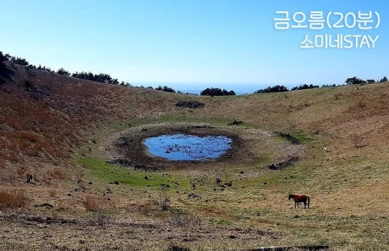 [Aewol, Jeju] Jeju's vintage-feeling independent house with good transportation 40