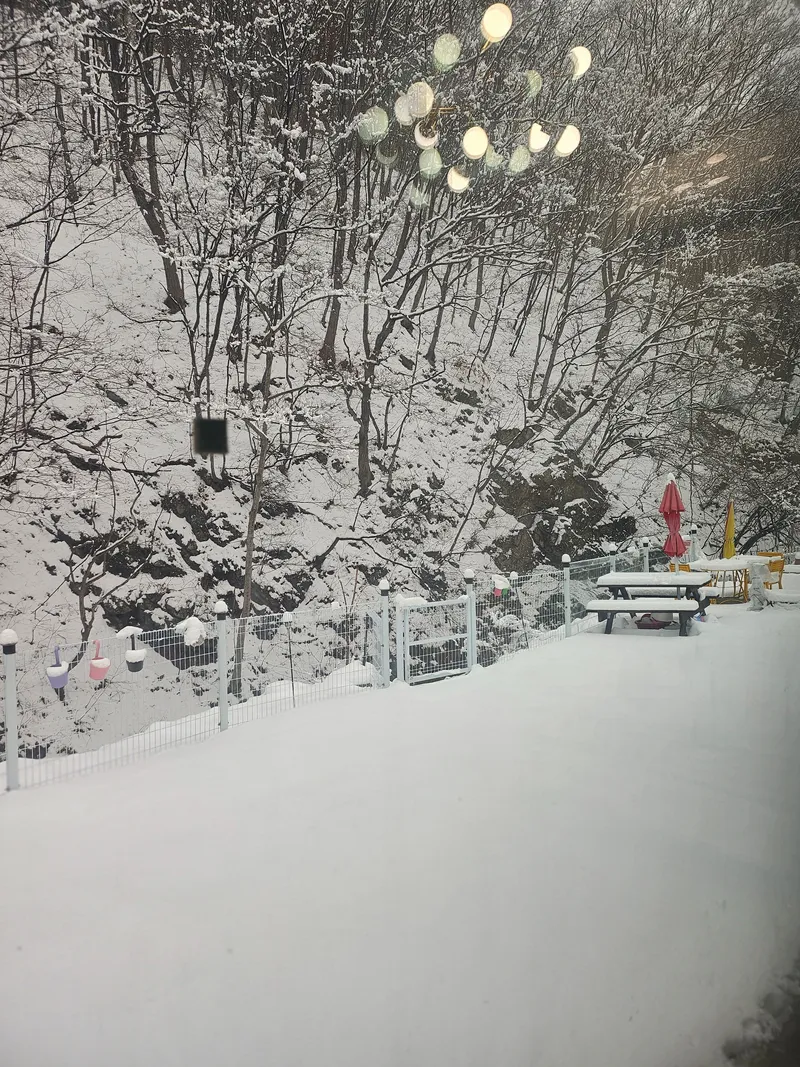 [Yangyang] Private, dog-friendly barbecue area 20 minutes from Hajodae near Beopsuchi Valley 28
