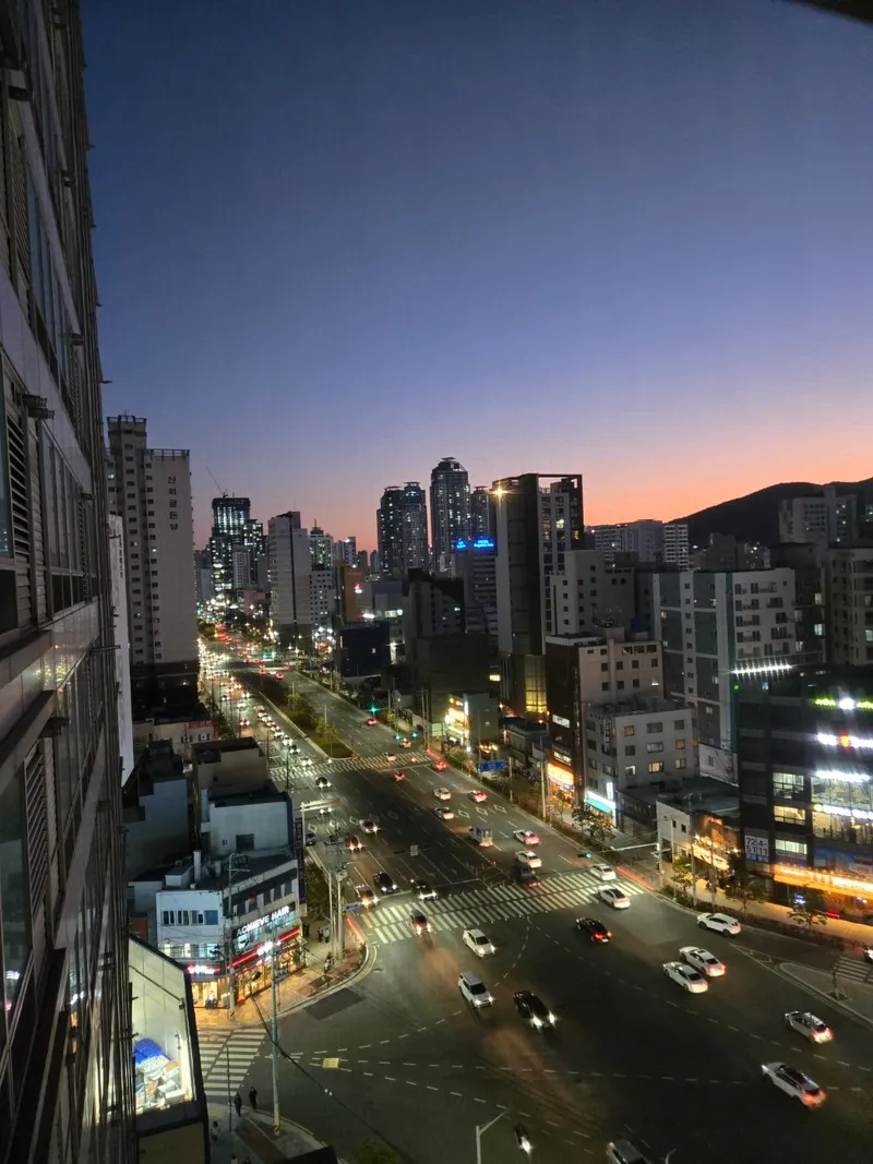 [Busanjin, Busan] Seomyeon/Jeonpo Cafe Street. Dogs and cats allowed. 22