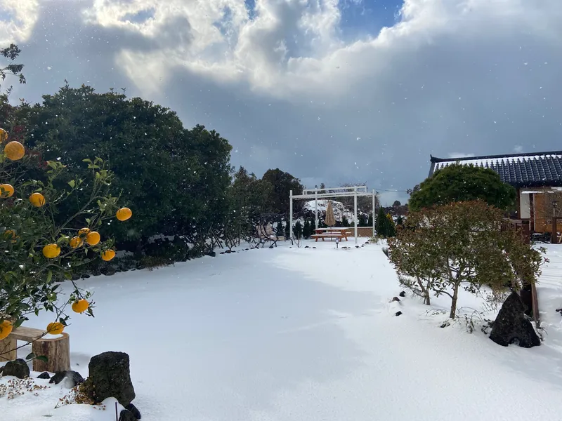 [Hangyeong, Jeju] A well-lit, emotional, and independent house near Panpo Port that also shares a hanok annex 12