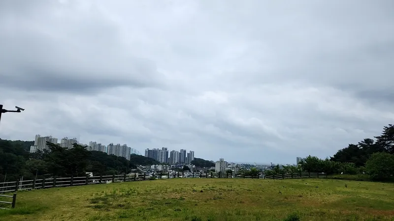 [강원 동해] 호텔보다 쾌적한# 초고층 신축# 도서관 옆 조용한 힐링숙소 34