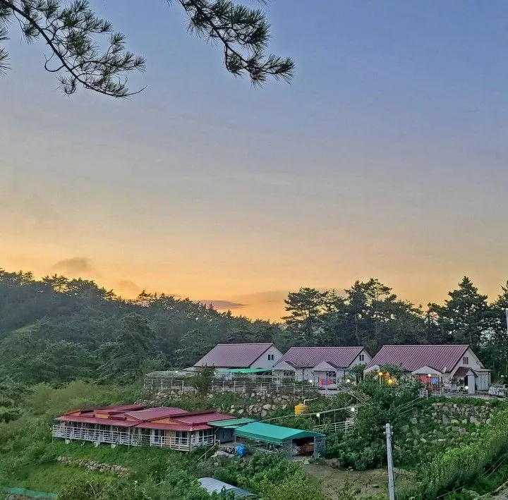 [Taean] Cozy annex #Pets allowed #Village vacation 14
