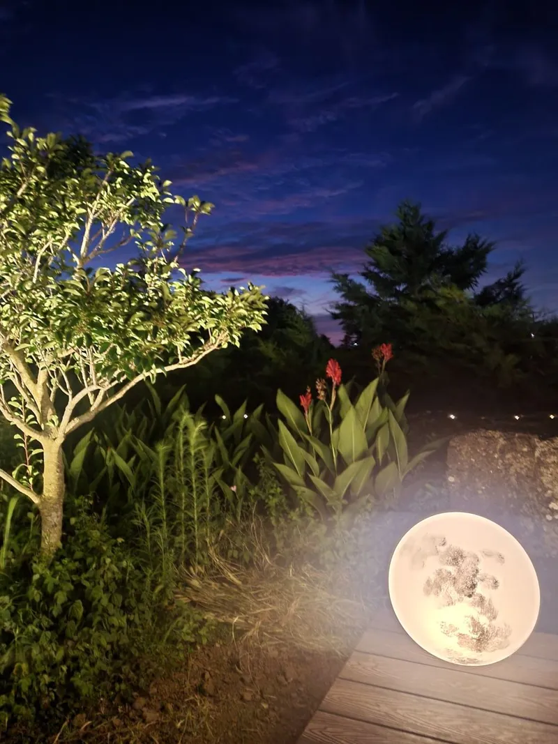 [Hallim, Jeju] Pet-friendly western-facing emotional lodging, private bunker for families 52