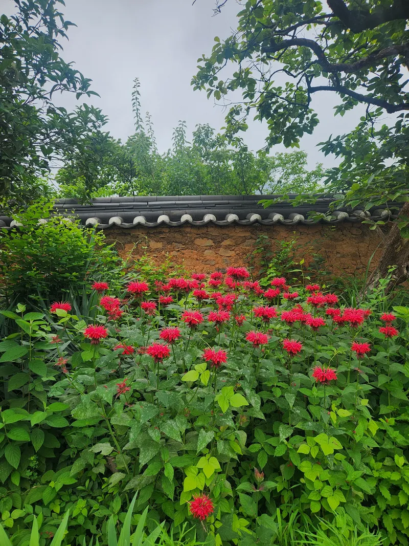[경남 밀양] 400평 마당#문화재#한옥 #투룸#문화재#시골살이#민박우수숙소 40