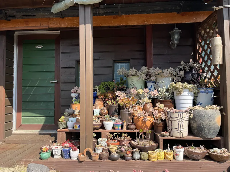 [Hangyeong, Jeju] Right in front of Panpo Port, a quiet and pretty traditional house, Doldamjip (Wonangchae) 35