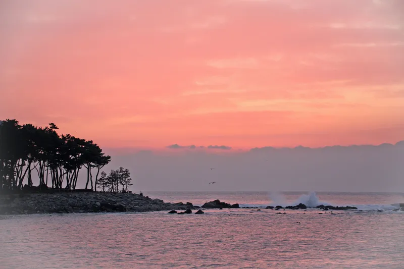 [부산 해운대] 바다의 별 17