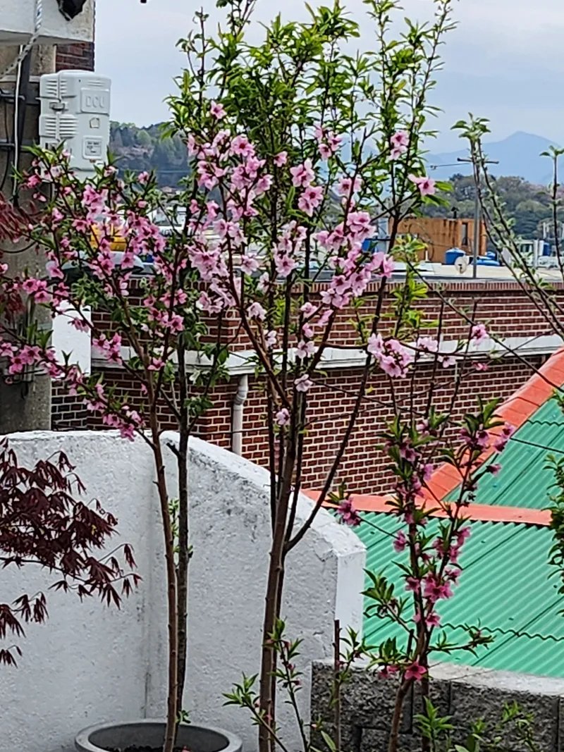 [전남 여수] 확트인 전망과 잘 정돈된 정원 아늑한 숙소 34