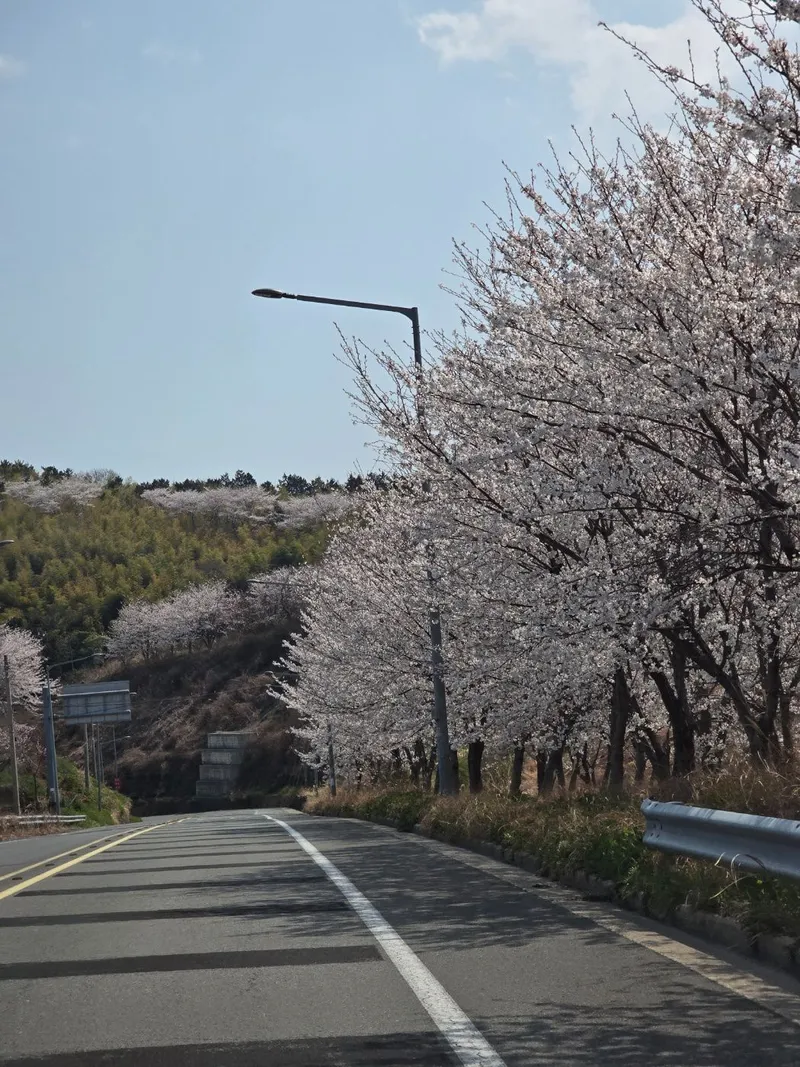 [Geoje] Healing stay in a private space with sky view, mountain view, and sea view [Pet-friendly] 32