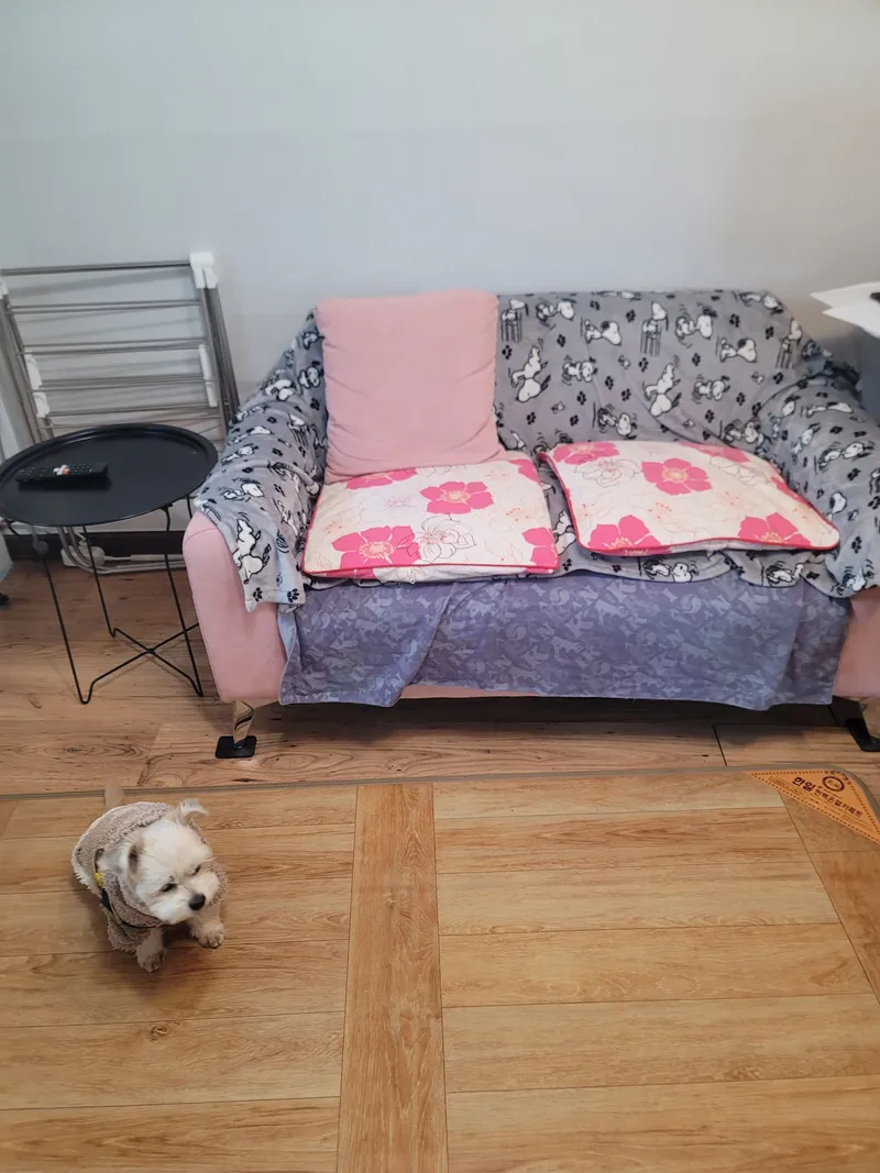 [Jeonju] Ajung-ri detached one-room mart conveniently located near Hanok Village 11