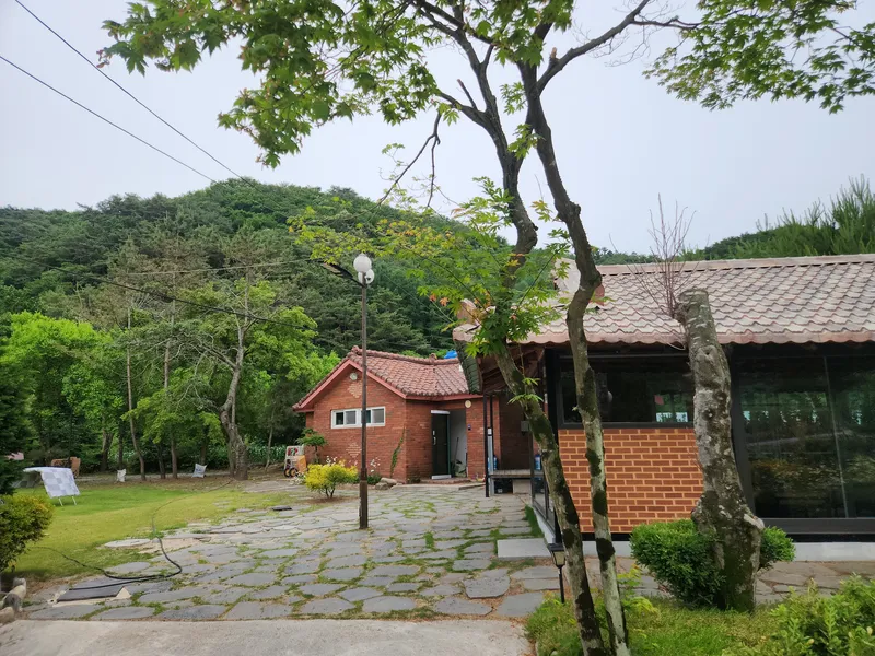 [강원 영월] 조용한 휴식 편백나무 투룸 독채 15
