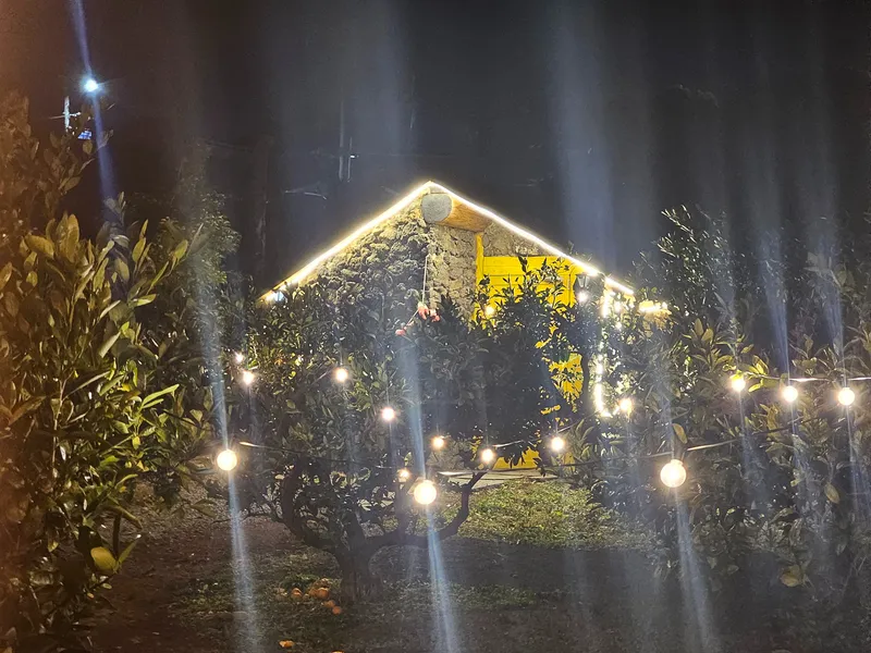 [Namwon, Seogwipo] Emotional accommodation #Independent house #3 min walk to the beach #Large garden #Jacuzzi #Barbecue in jar #Sesko 29