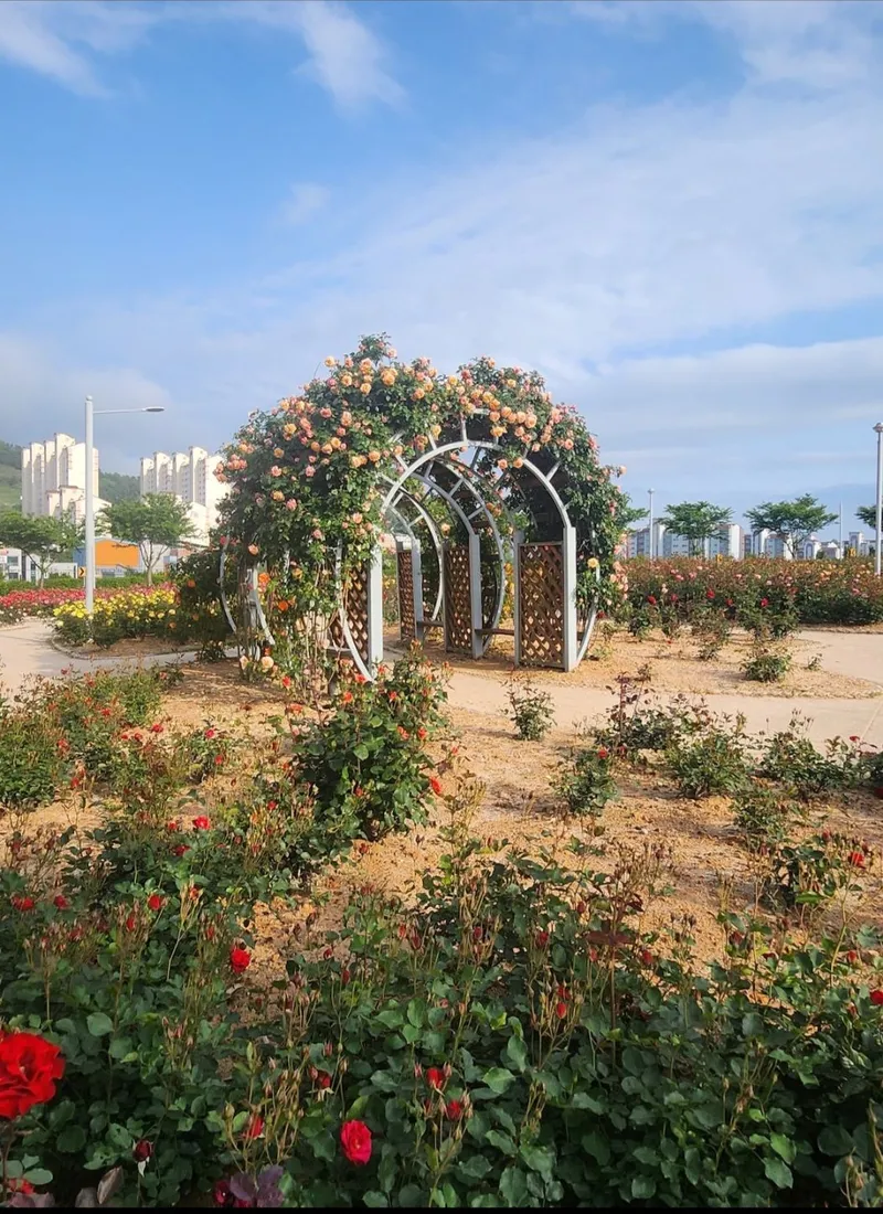 [Yeosu] Yeosu Beach Marina Yacht Club, waterfront swimming pool, romantic pojangmacha (traditional Korean food stall), and free parking are located in front of the accommodation. 26