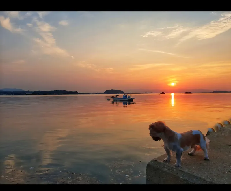 [Taean][Taean, South Chungcheong Province] Anmyeondo Island. A beautiful sunrise over the sea. A private villa with a yard and large veranda. 26