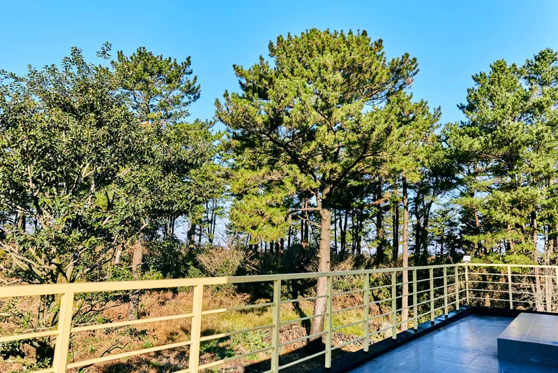 [Gujwa, Jeju] Jeju's Today, Everyday Begins with Birdsong, Nonoreta Lavender B 10