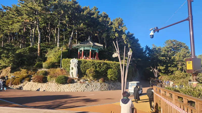 [부산 해운대] 해수욕장 도보3분/취사, 세탁가능, 위치 좋은집 31