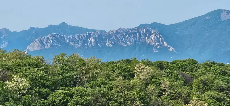 [강원 고성] 아야진 바다 1분거리/거실&방 1.5룸 아파트/울산바위조망 2