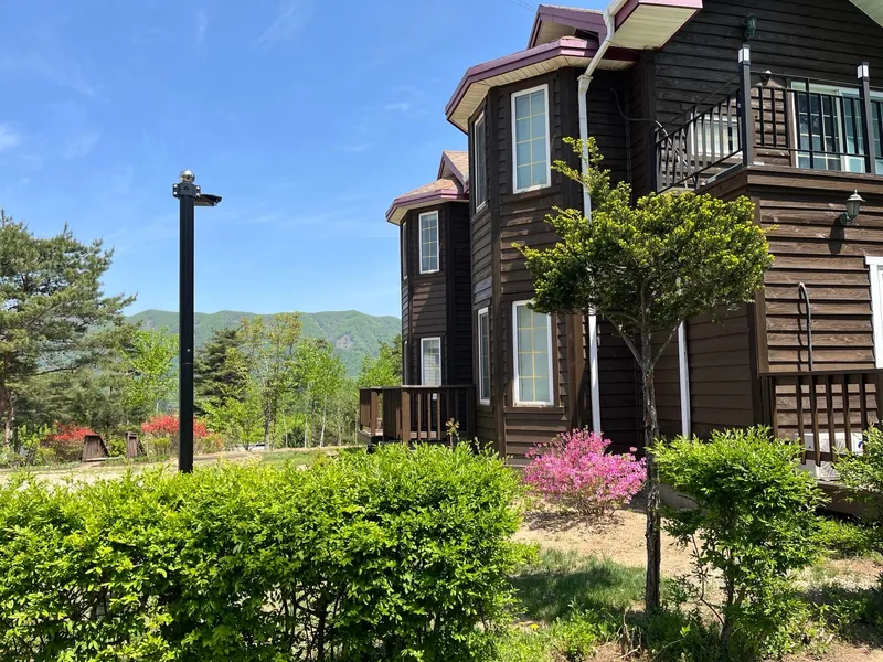[Pyeongchang] Wildflower Friends_Bongpyeong Forest Complex One-Room #102 17